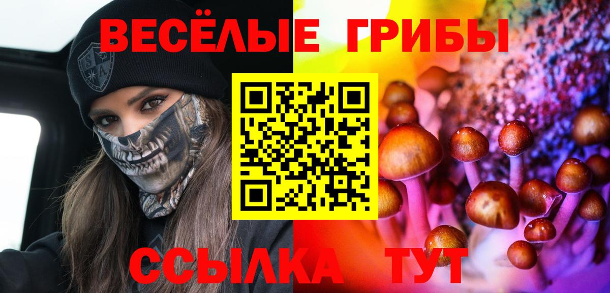 Урюпинск  Псилоцибиновые грибы Psilocybe  Вход с VPN 