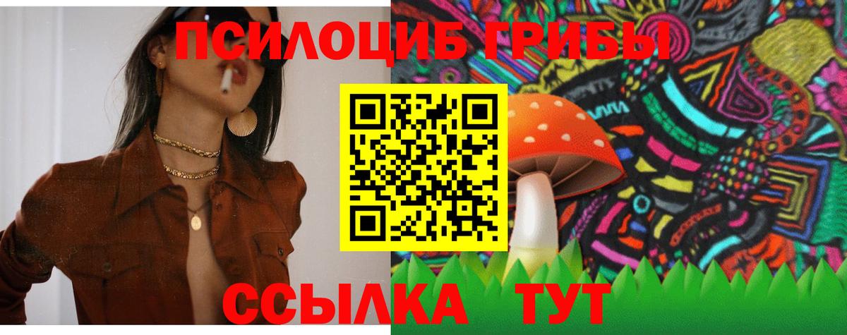 Псилоцибиновые грибы мицелий Урюпинск
